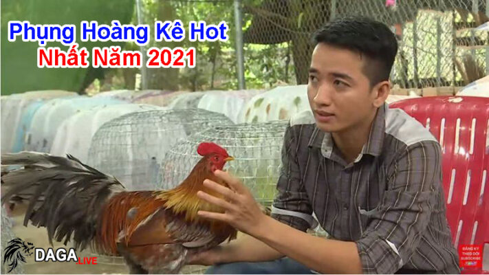 phung-hoang-ke-hot-nhat-nam-2021