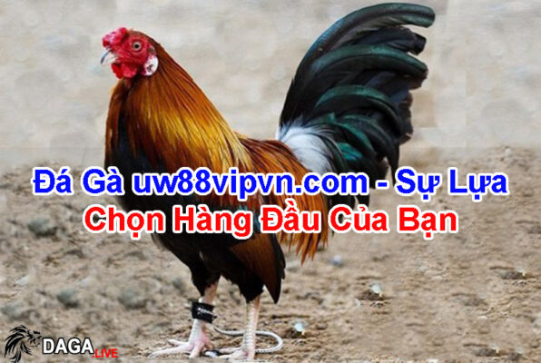 da-ga-uw88vipvn.com-su-lua-chon-hang-dau-cua-ban