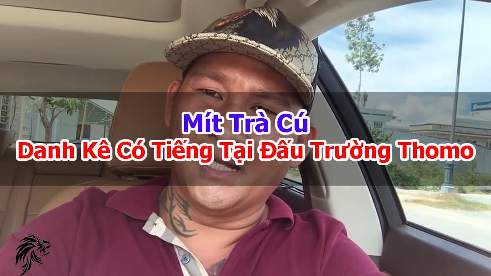 Mit-Tra-Cu-Danh-Ke-Co-Tieng-Tai-Dau-Truong-Thomo