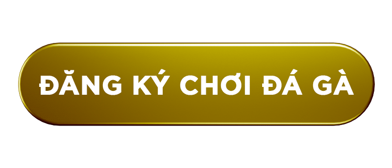 button-dang-ky-choi-da-ga