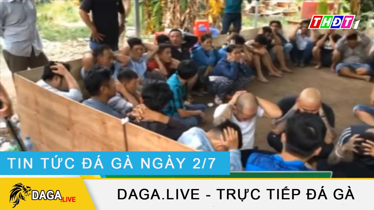 dagalive-tin-tuc-da-ga-2-7