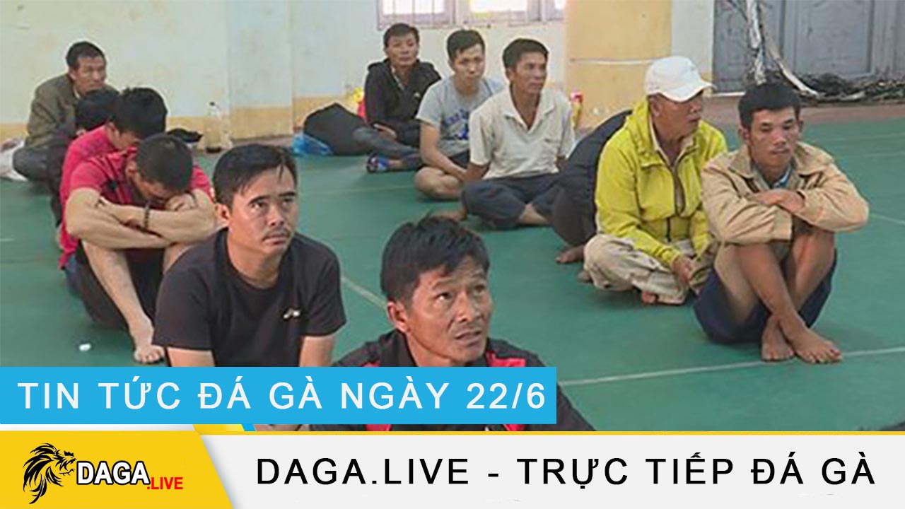 dagalive-tin-tuc-da-ga-22-6