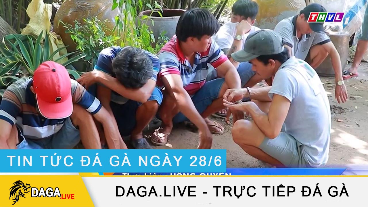 dagalive-tin-tuc-da-ga-28-6