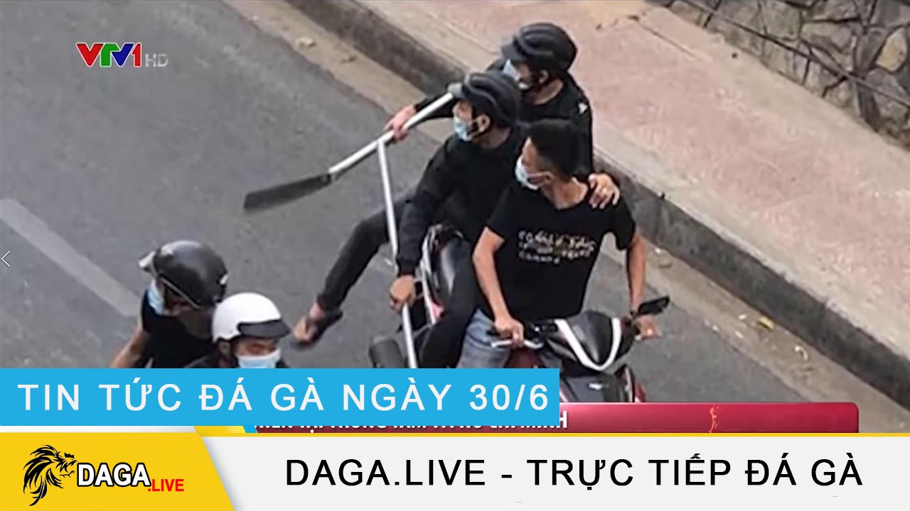 dagalive-tin-tuc-da-ga-30-6