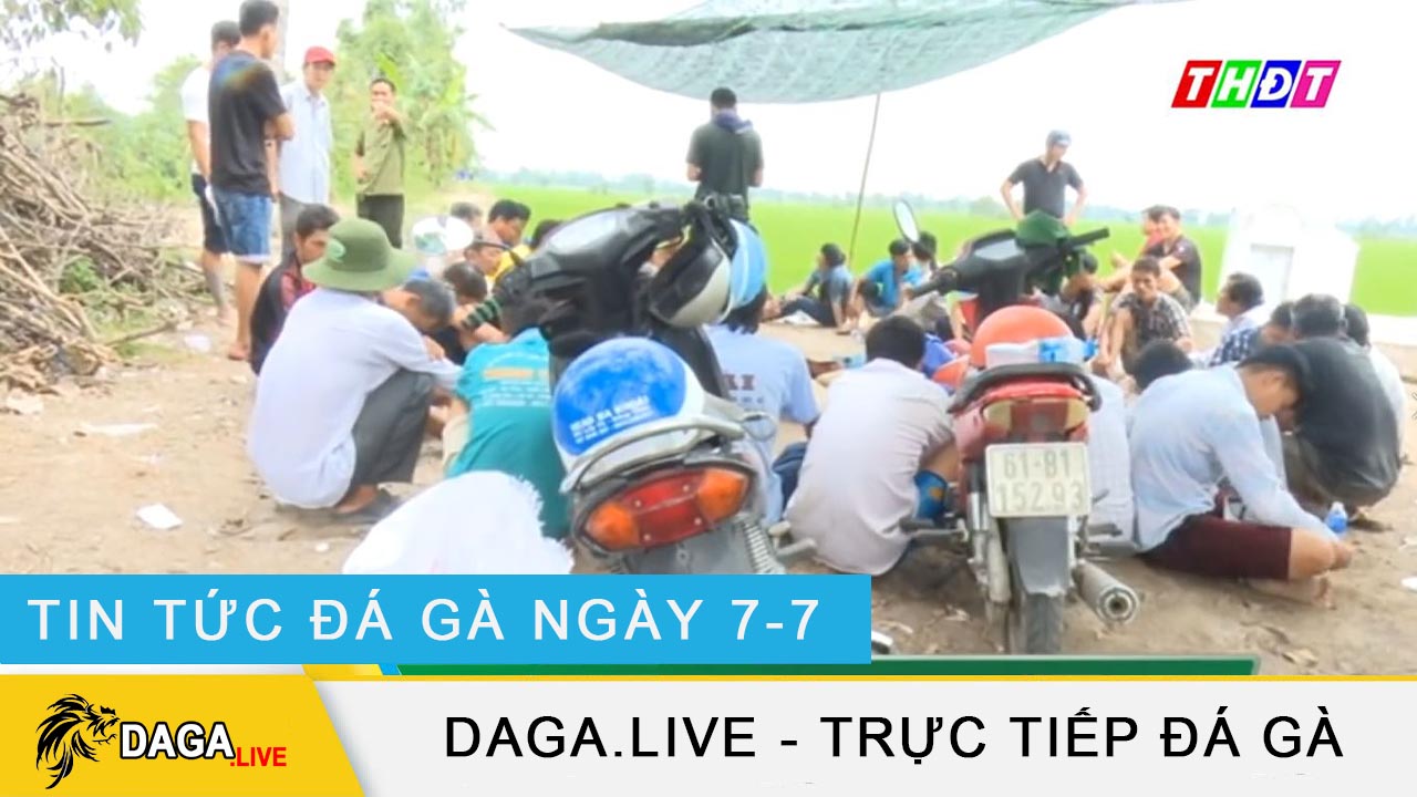 dagalive-tin-tuc-da-ga-7-7